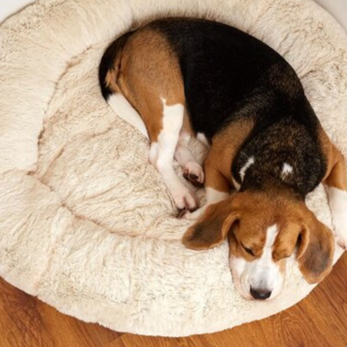 CAMA PARA PERROS ANTIESTRES FELPA 110CM MASCOTAS LAU - 10