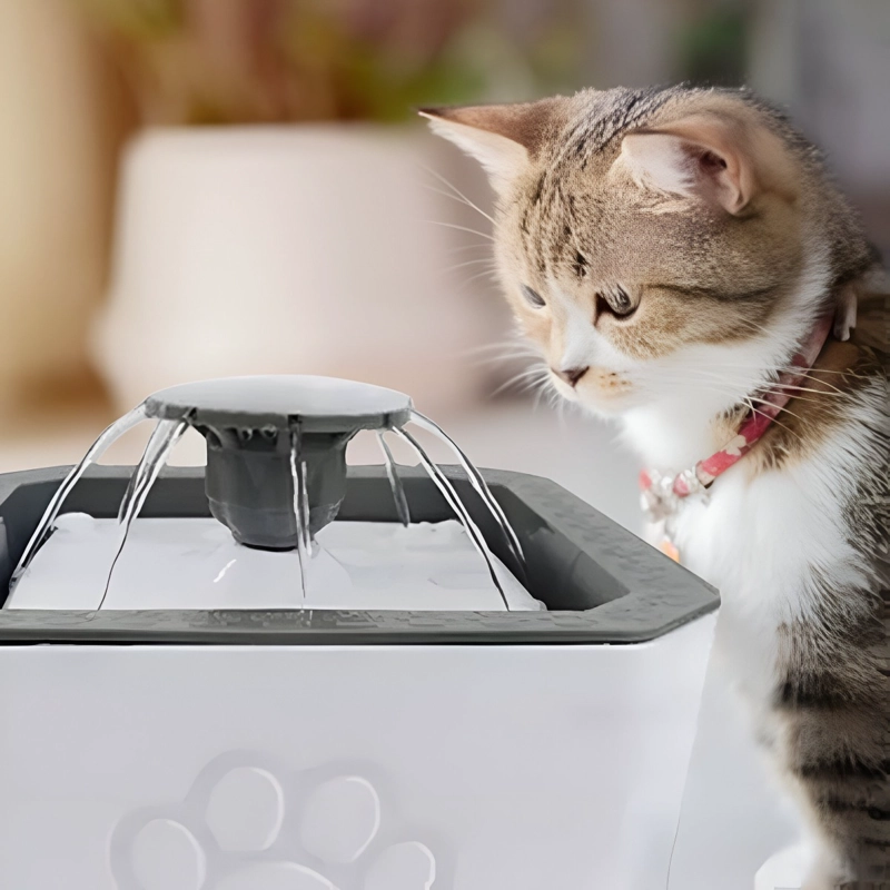 BEBEDERO FUENTE DE AGUA PARA MASCOTAS PERROS GATOS LAU - 8