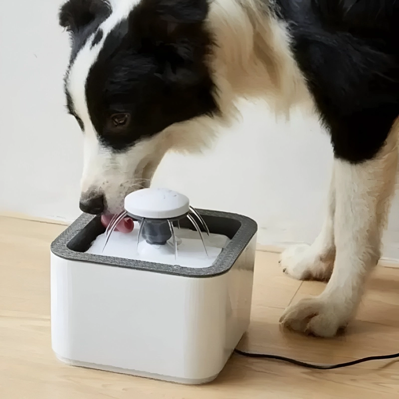 BEBEDERO FUENTE DE AGUA PARA MASCOTAS PERROS GATOS LAU - 9