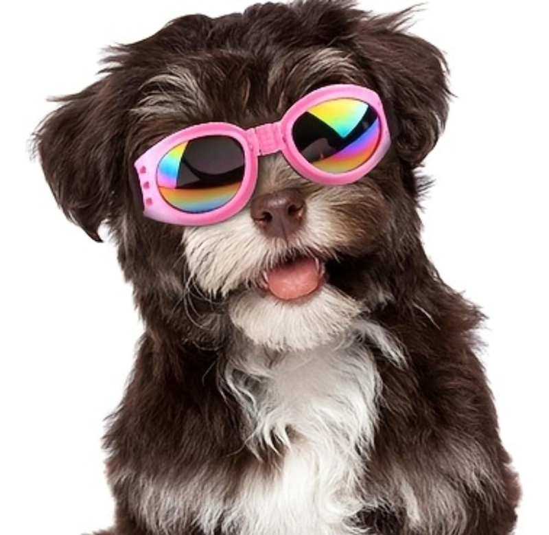 SET 2 GAFAS POLARIZADAS PARA MASCOTAS PASEO PROTECCION LAU - 4