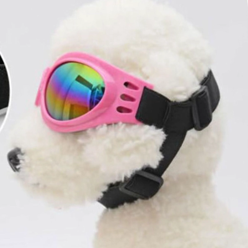 SET 2 GAFAS POLARIZADAS PARA MASCOTAS PASEO PROTECCION LAU - 10