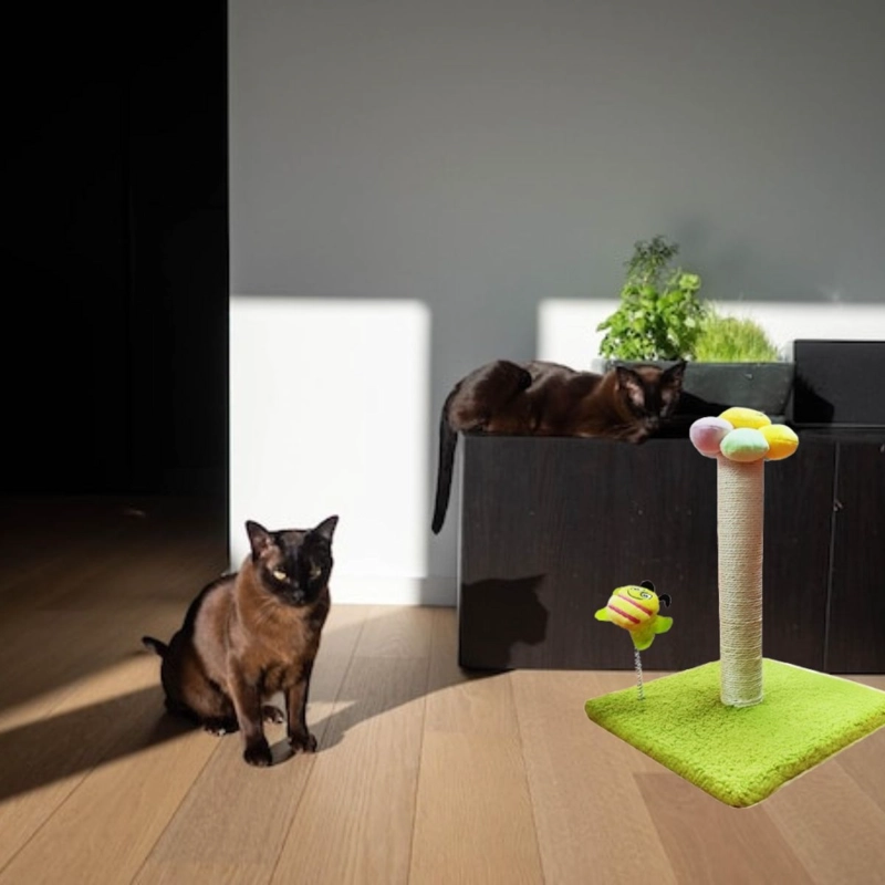 RASCADOR PARA GATOS FORMA DE FLOR MASCATOS LAU - 4