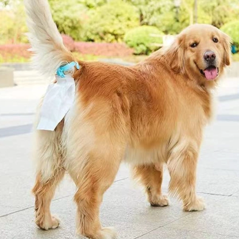 KIT PORTA BOLSAS PARA ASEO DE MASCOTAS PERROS PASEO LAU - 9