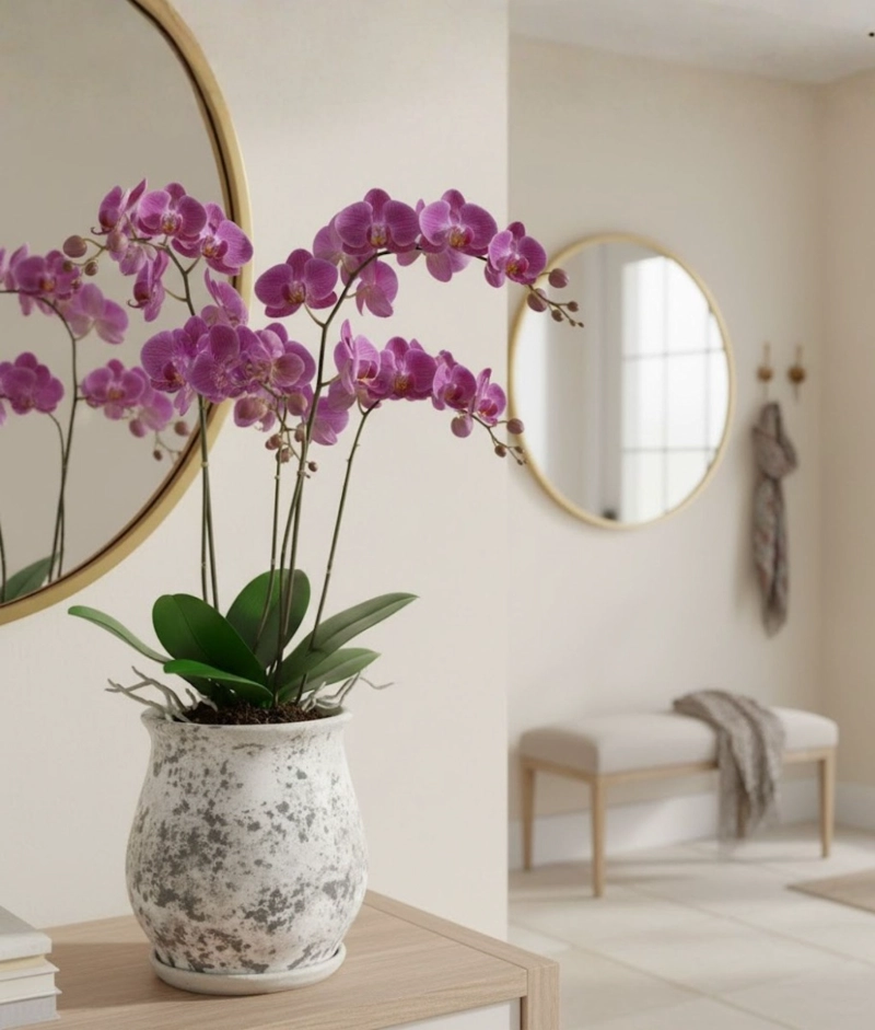 MACETA DECORATIVA BASE FUNCIONAL JARDIN HOGAR ADORNO JHN - 7