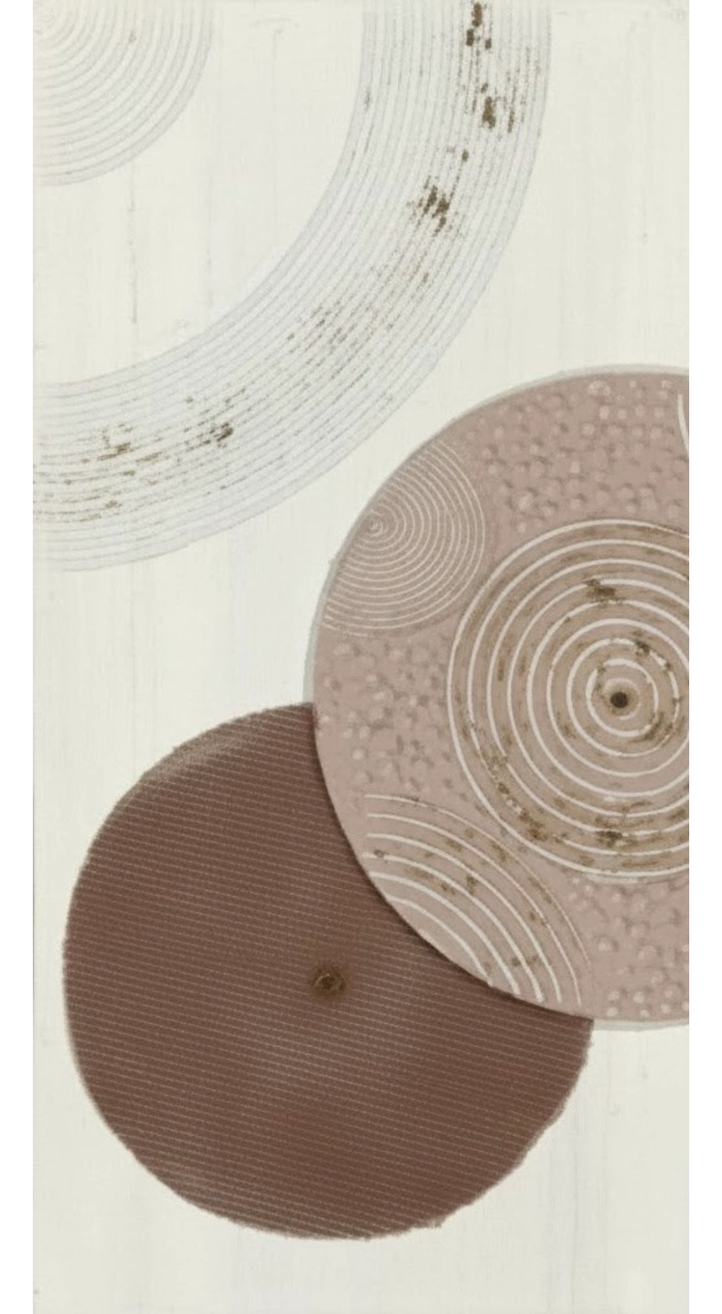 CUADRO DECORATIVO ABSTRACTO CIRCULOS ADORNO PARED JHN - 3