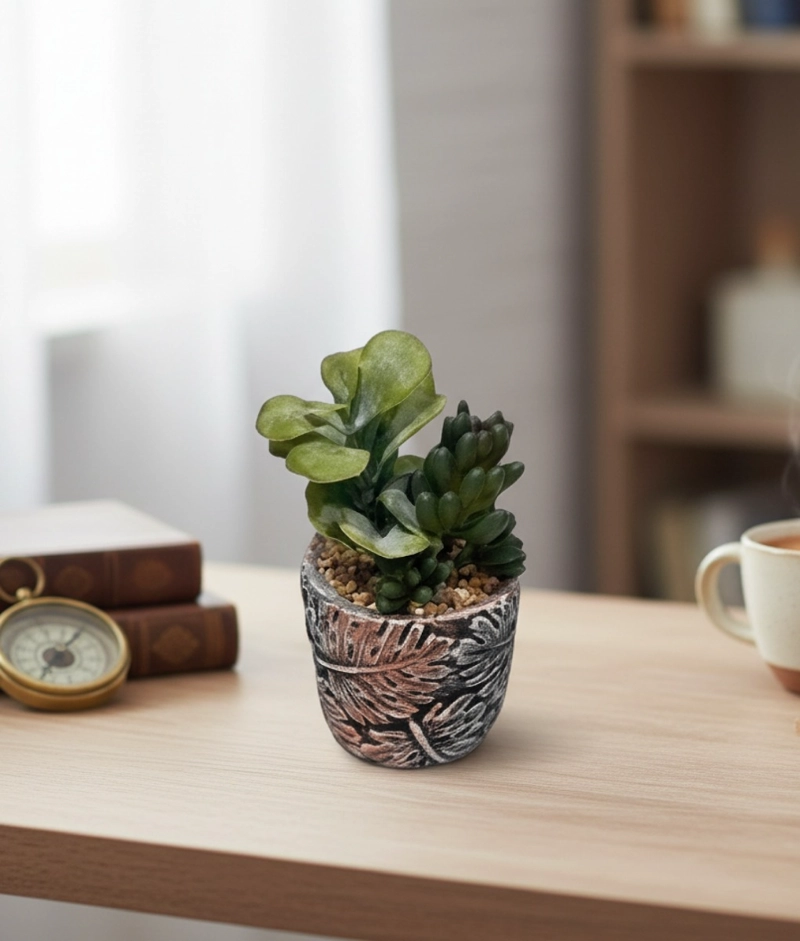 SET 2 PLANTA DECORATIVA SUCULENTA ADORNO HOGAR JHN - 10