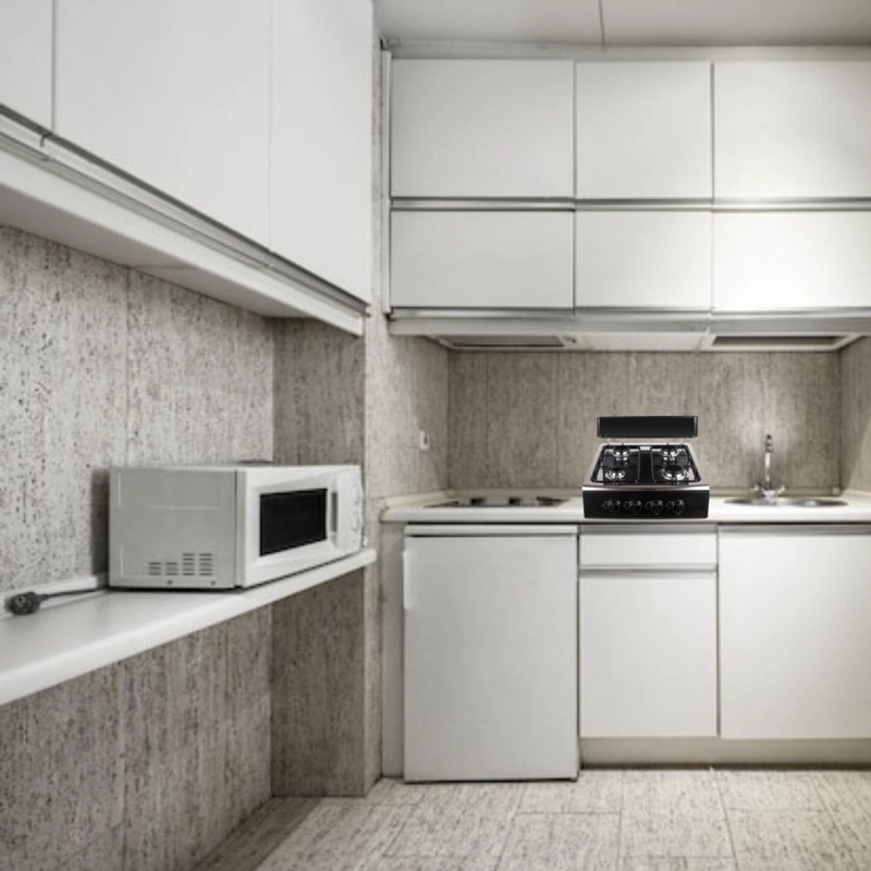 ESTUFA ENCIMERA PORTATIL COCINA 4 QUEMADORES CAMPING LAU - 3