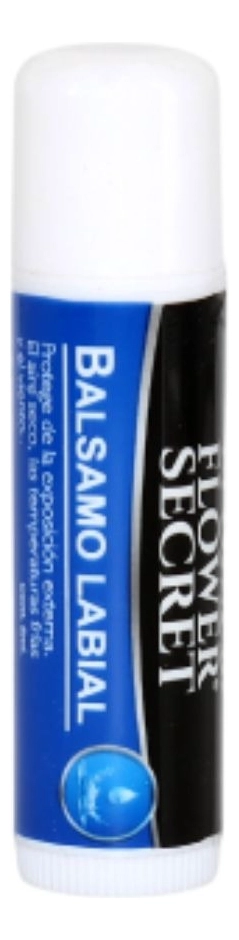 PACK 24 BALSAMOS LABIALES HIDRATANTES SUAVIZA PROTEGER LAU - 1