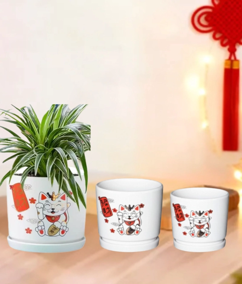 SET 3 MACETERO DECORATIVO DISEÑO GATO SUERTE ARMONIA JHN - 7