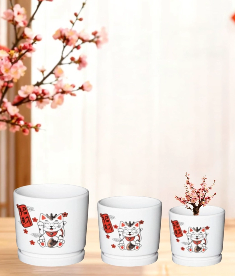 SET 3 MACETERO DECORATIVO DISEÑO GATO SUERTE ARMONIA JHN - 8