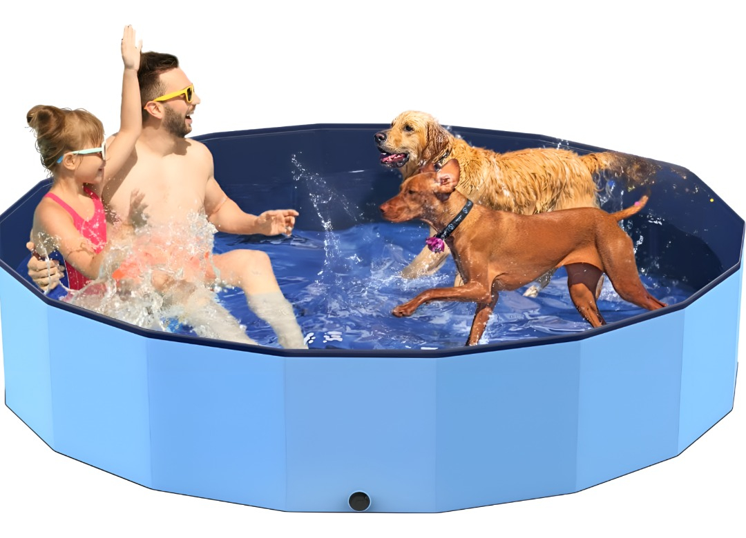 PISCINA PILETA PLEGABLE PARA MASCOTAS Y NIÑOS 160X30CM JHN - 4