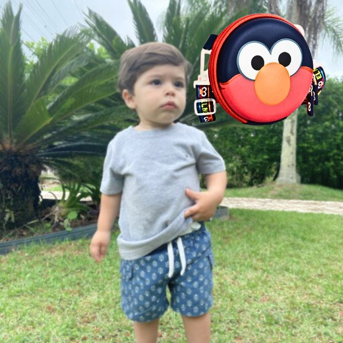 BILLETERA INFANTIL ELMO MODERNO SINTÉTICO PRACTICO NIÑA LAU - 7