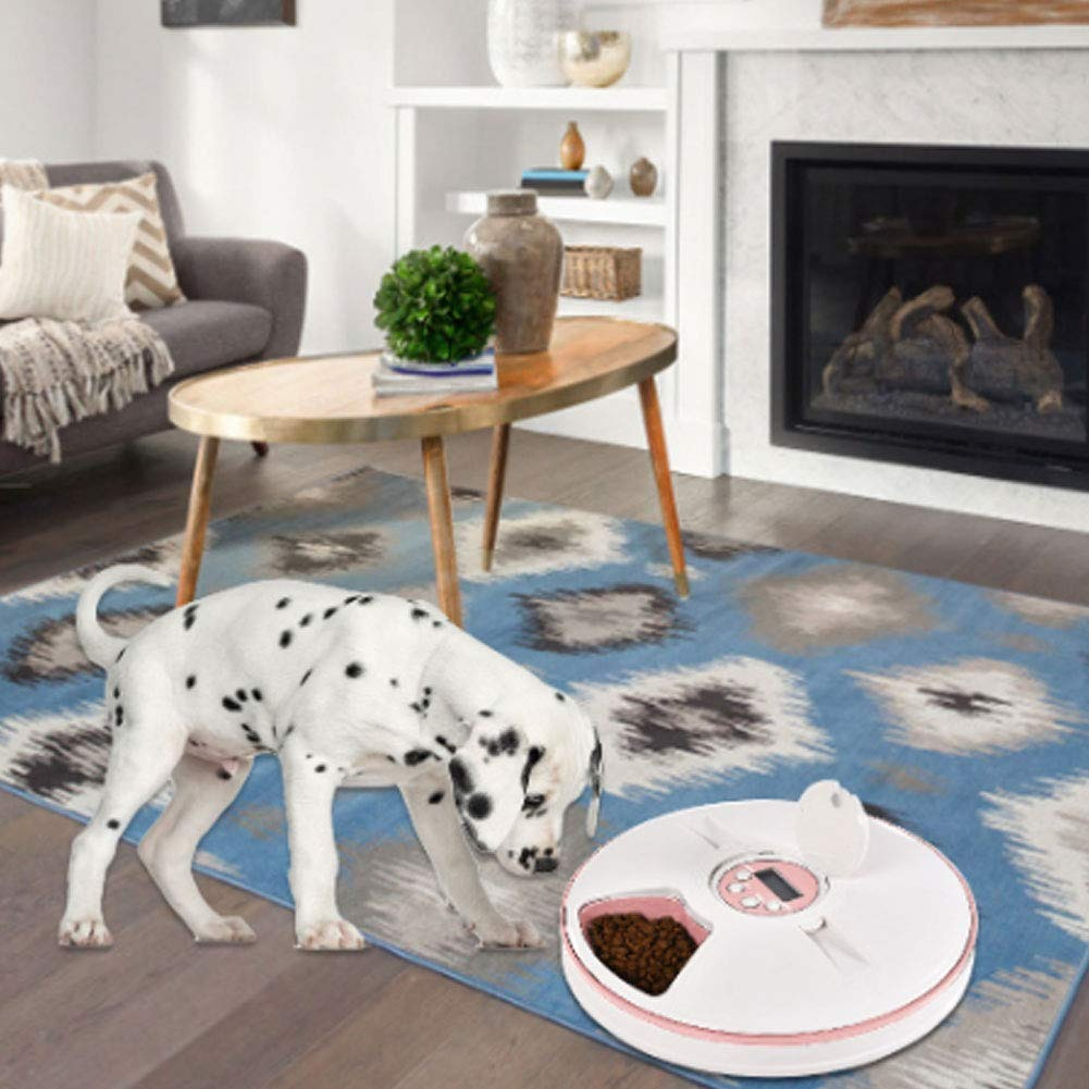 COMEDERO AUTOMÁTICO ALIMENTO MASCOTAS TEMPORIZADOR LAU - 7