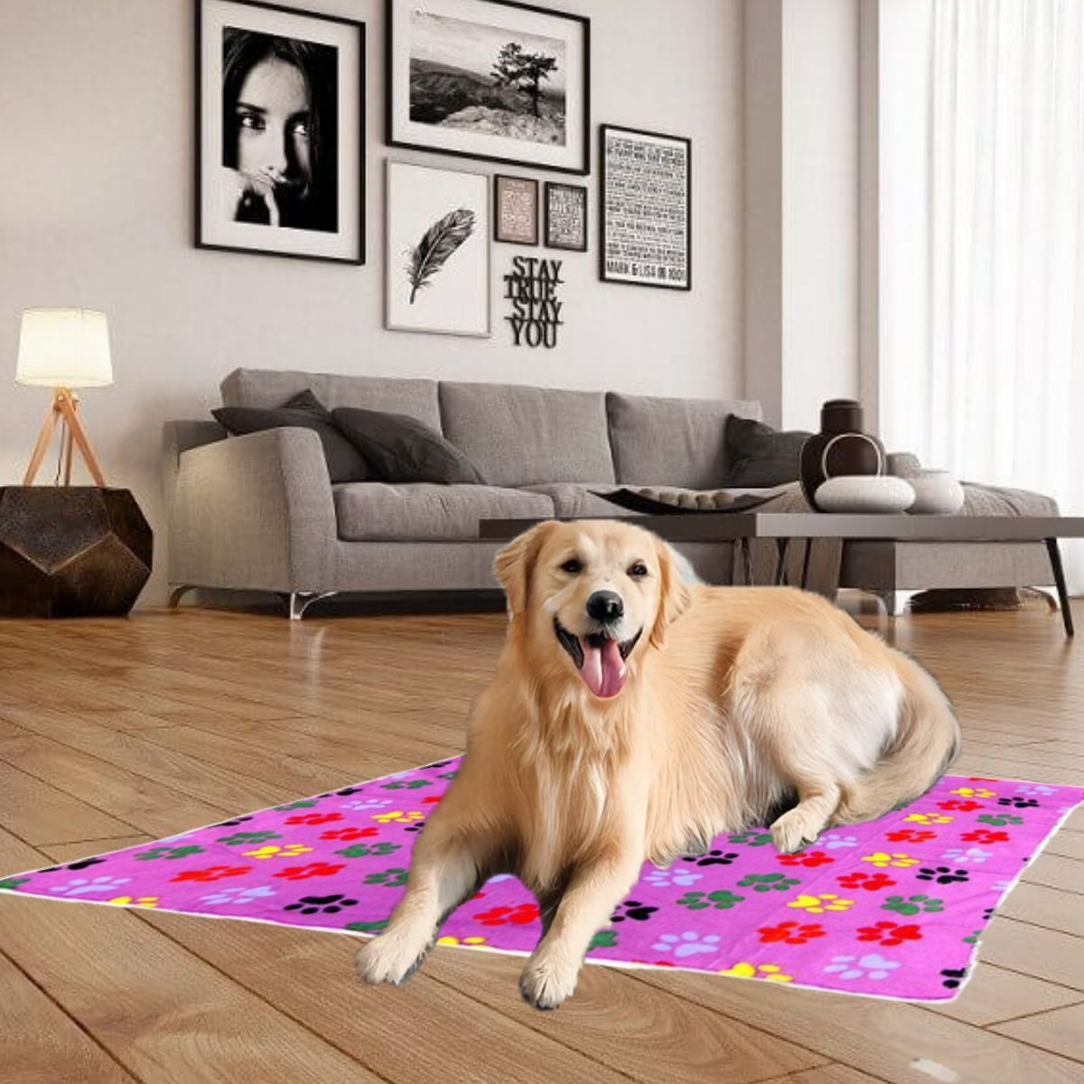 SET 3 MANTA POLAR PARA MASCOTAS 120X90 ABRIGO SUAVE LAU - 4