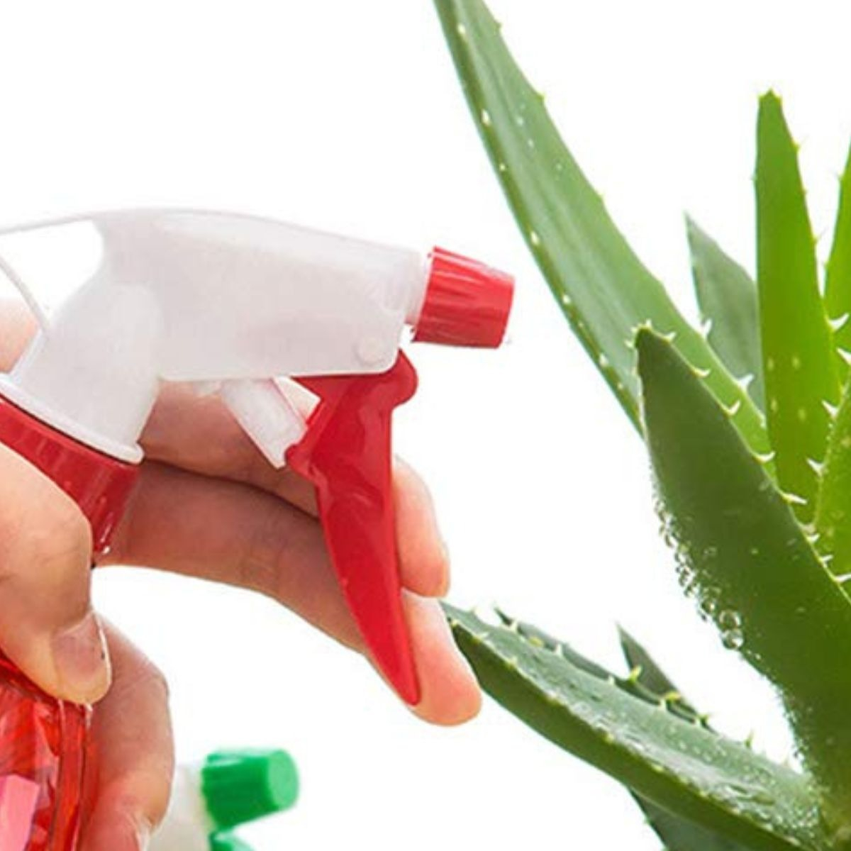 SET 10 BOTELLAS ROCIADOR PULVERIZADORA DE PLASTICO LAU - 8