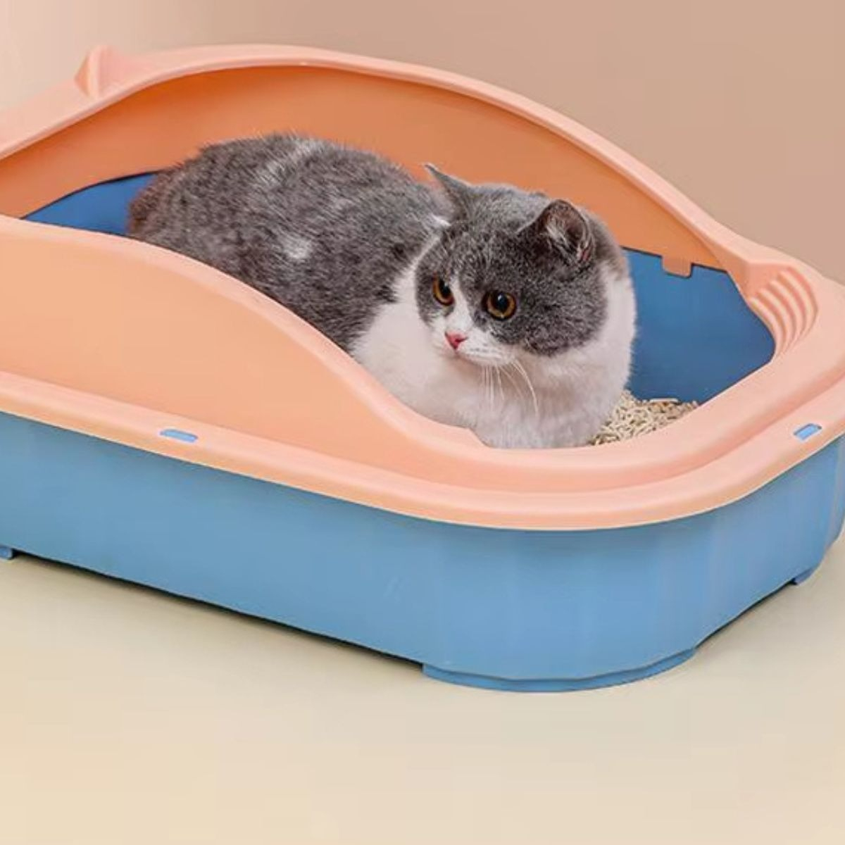 ARENERO CAJA ANTISALPICADURAS GATOS MASCOTAS HOGAR LAU - 8