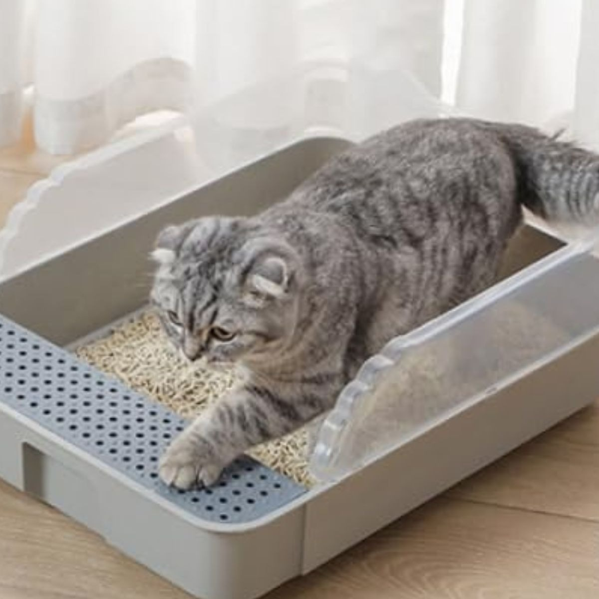 ARENERO CAJA PEQUEÑO ANTISALPICADURAS GATOS MASCOTAS LAU - 3