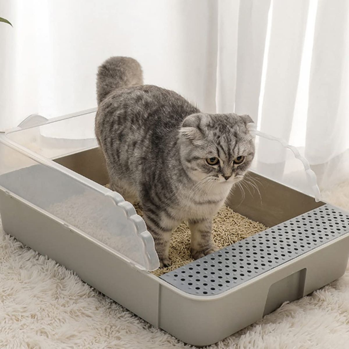 ARENERO CAJA PEQUEÑO ANTISALPICADURAS GATOS MASCOTAS LAU - 7