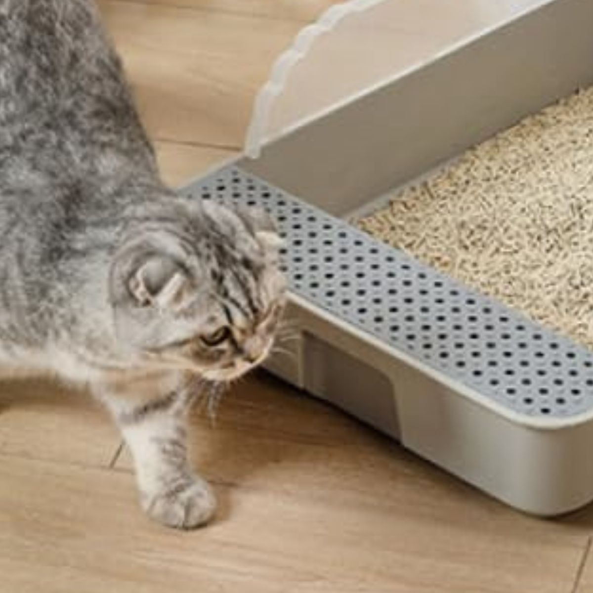 ARENERO CAJA PEQUEÑO ANTISALPICADURAS GATOS MASCOTAS LAU - 8