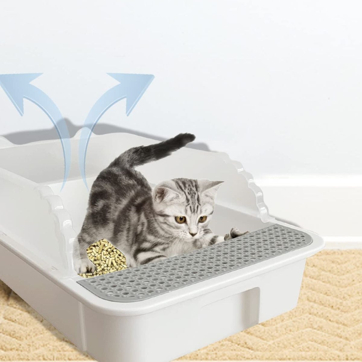ARENERO CAJA PEQUEÑO ANTISALPICADURAS GATOS MASCOTAS LAU - 10