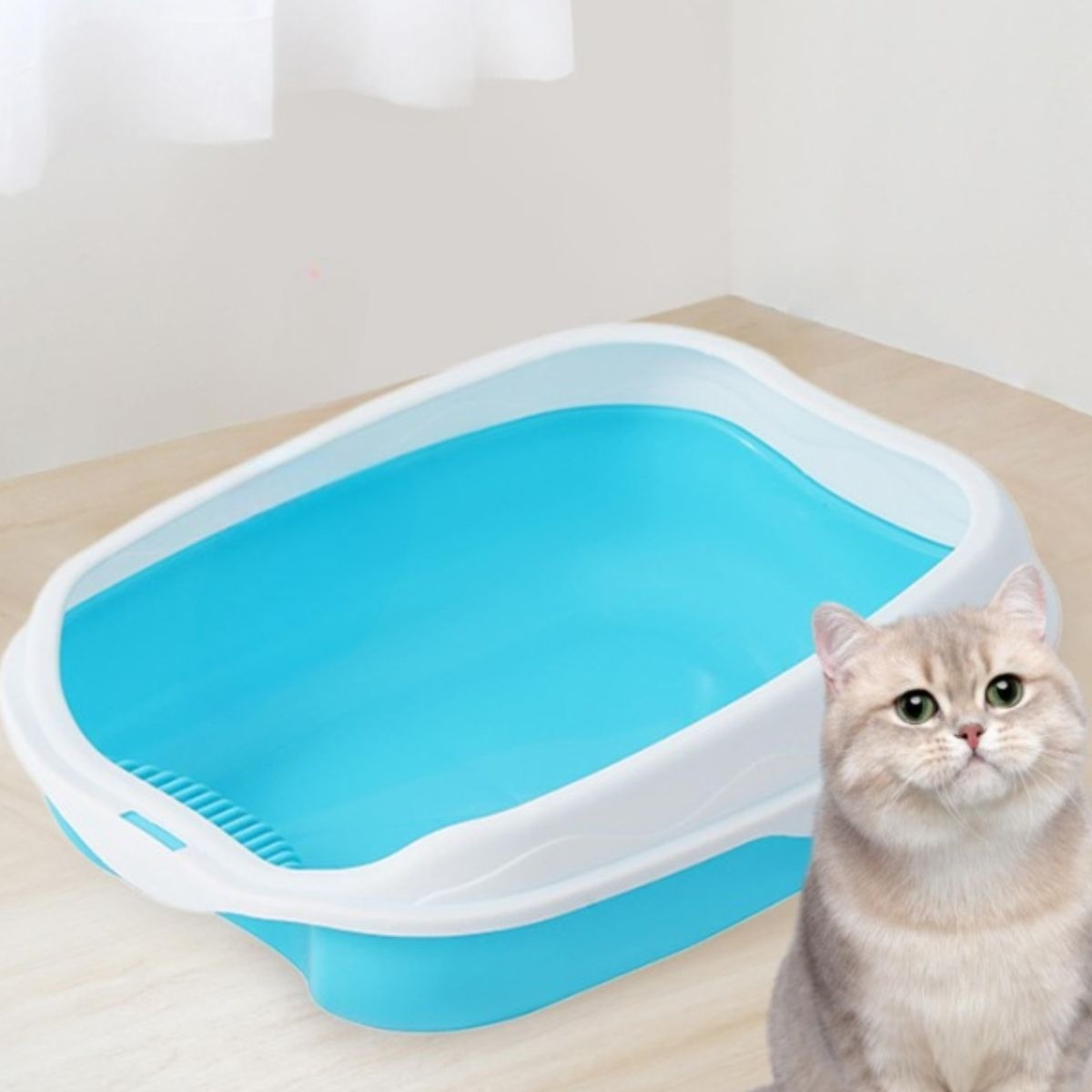 CAJA D ARENA PARA GATOS ASEO ENTRADA BAJA MASCOTAS HOGAR LAU - 8