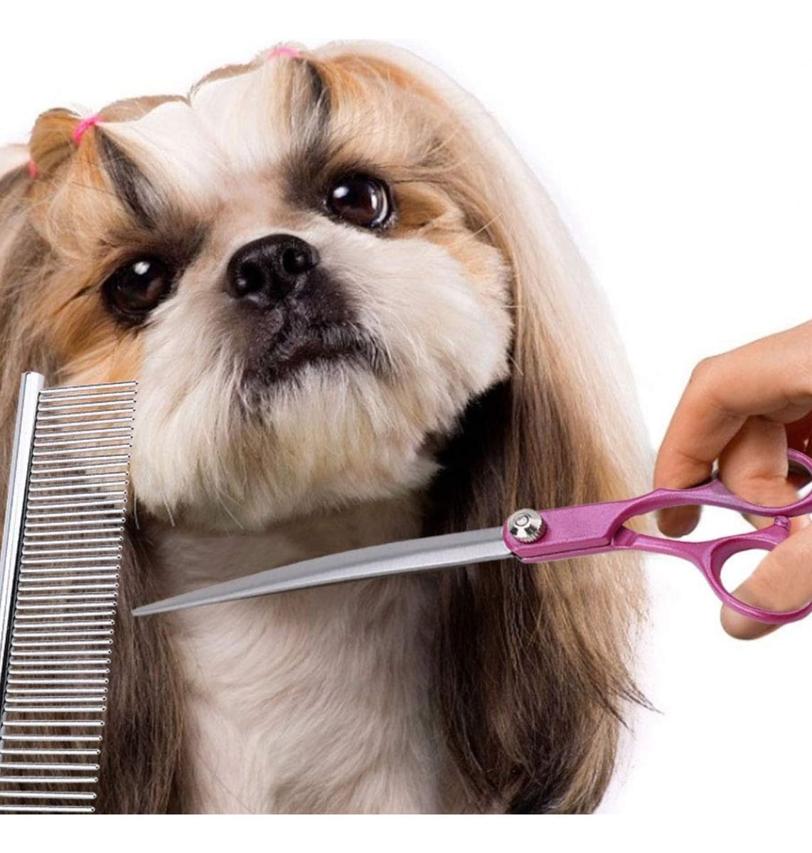 SET DE TIJERAS PROFESIONALES PARA ASEO DE MASCOTAS LAU - 2