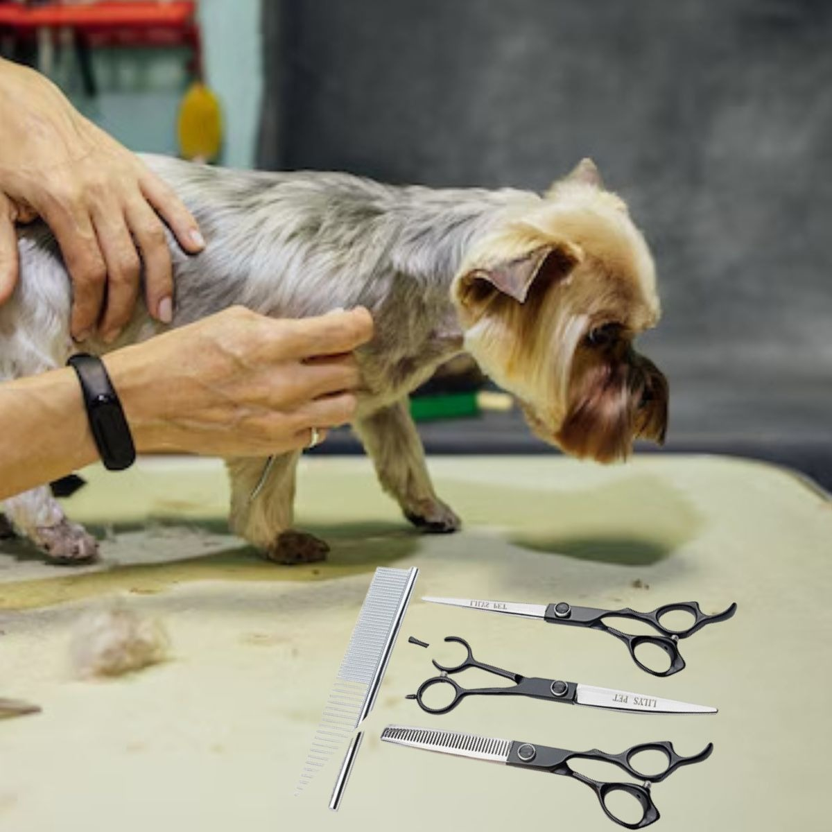 KIT DE TIJERAS PROFESIONALES ASEO DE MASCOTAS 7' LAU - 9