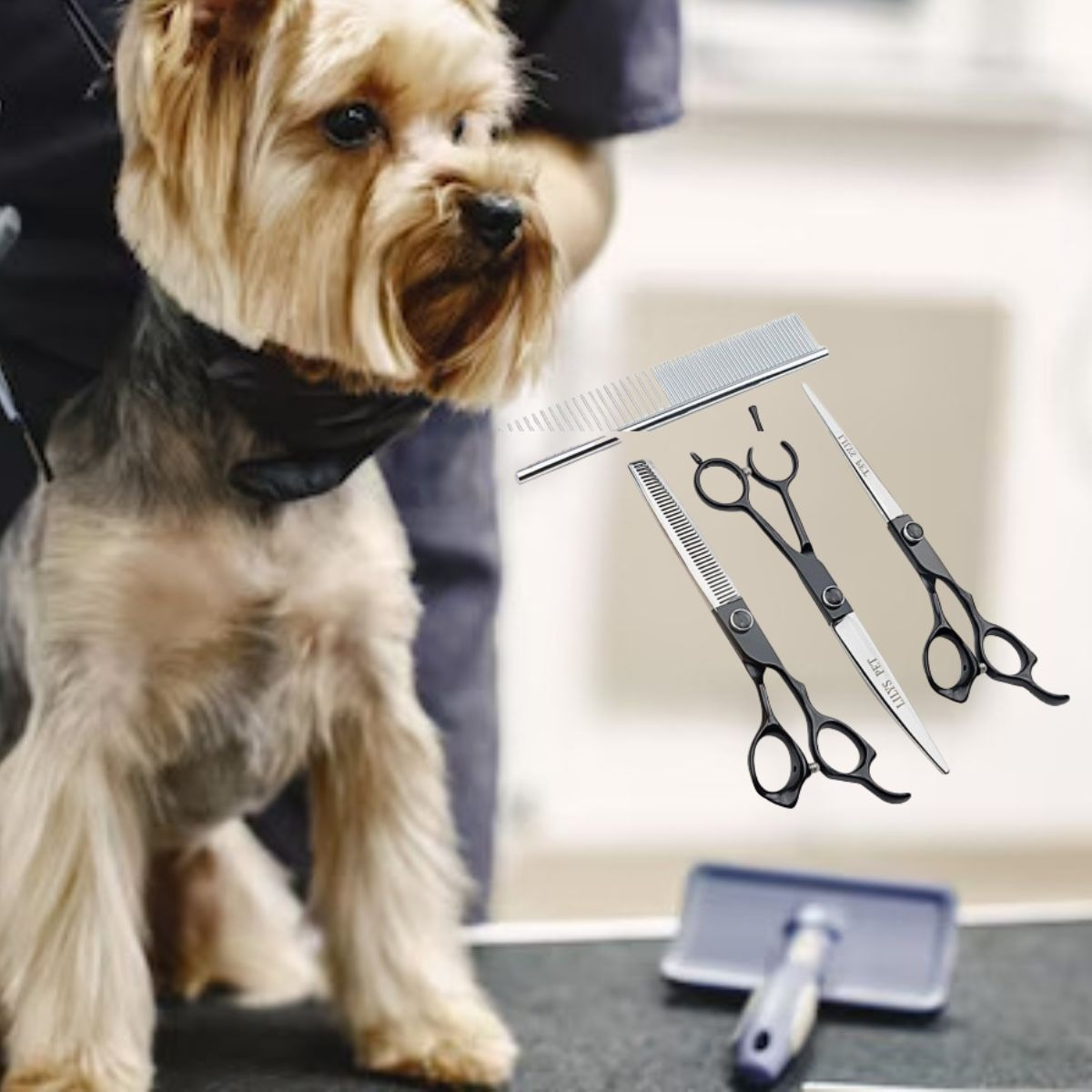 KIT DE TIJERAS PROFESIONALES ASEO DE MASCOTAS 7' LAU - 10