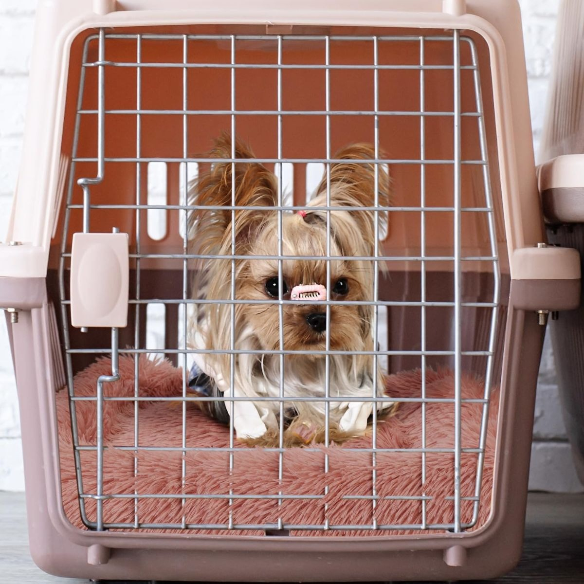 KENNEL TRANSPORTADOR RESISTENTE 52X41X75CM PERRO MASCOTA LAU - 6