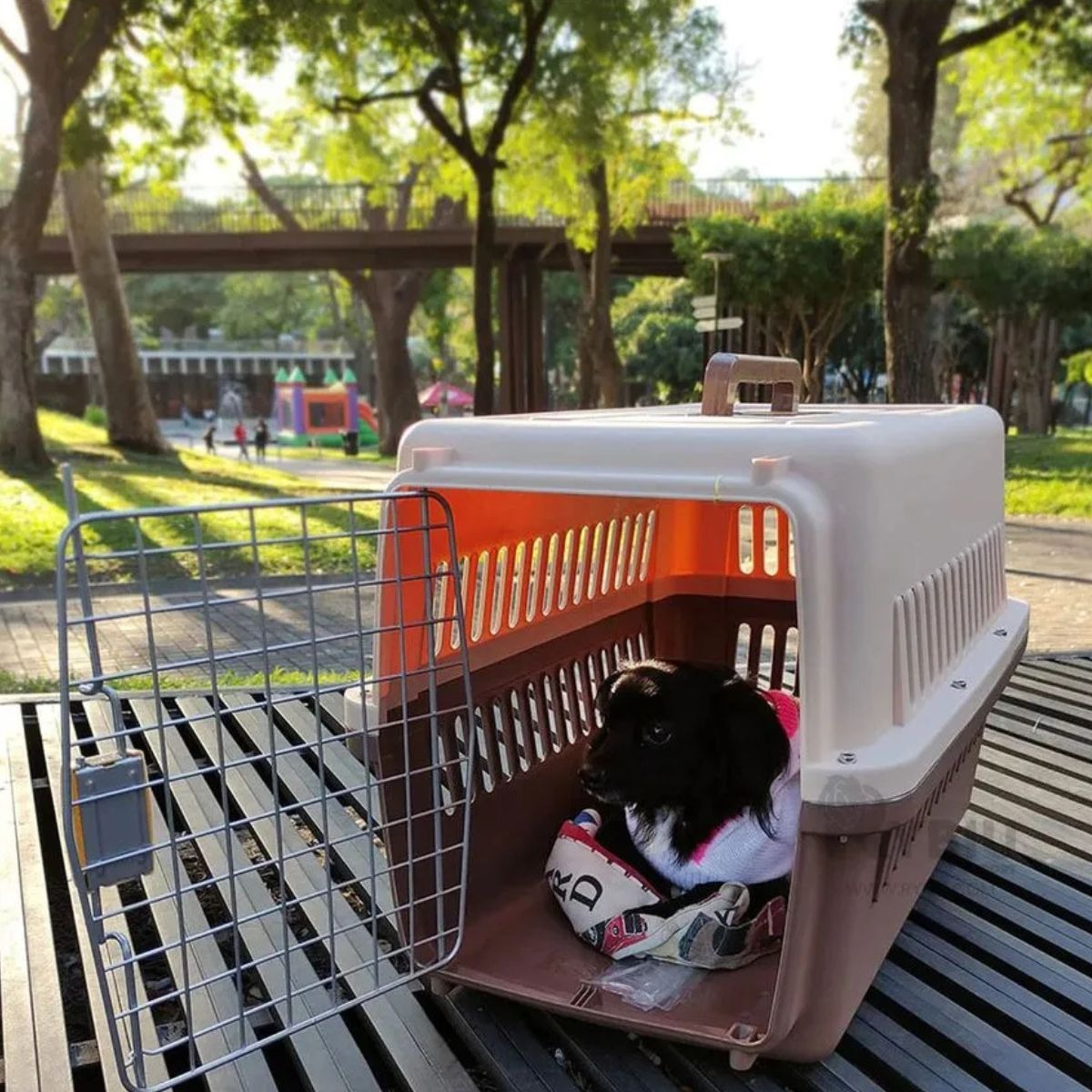 KENNEL TRANSPORTADOR RESISTENTE 52X41X75CM PERRO MASCOTA LAU - 9