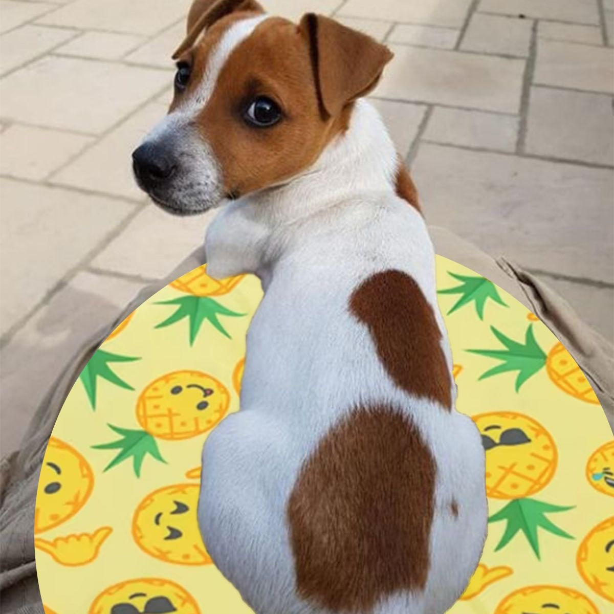 MANTA REFRESCANTE PARA MASCOTAS 60CM VERANO HOGAR LAU - 5