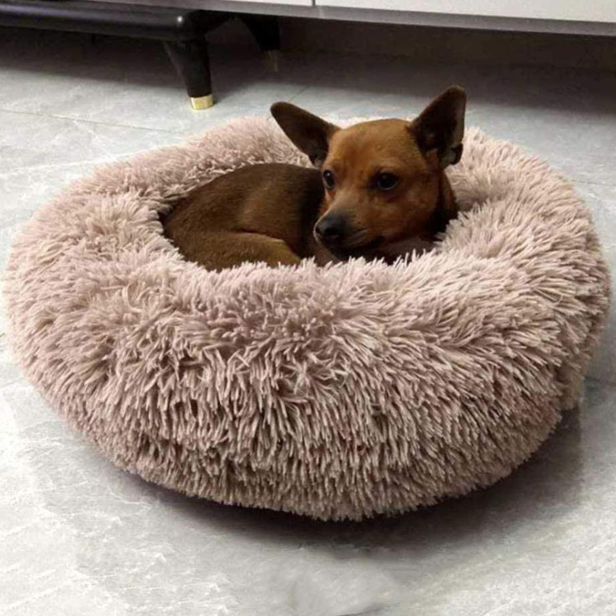 CAMA PARA PERROS ANTIESTRES FELPA 50CM MASCOTAS LAU - 4