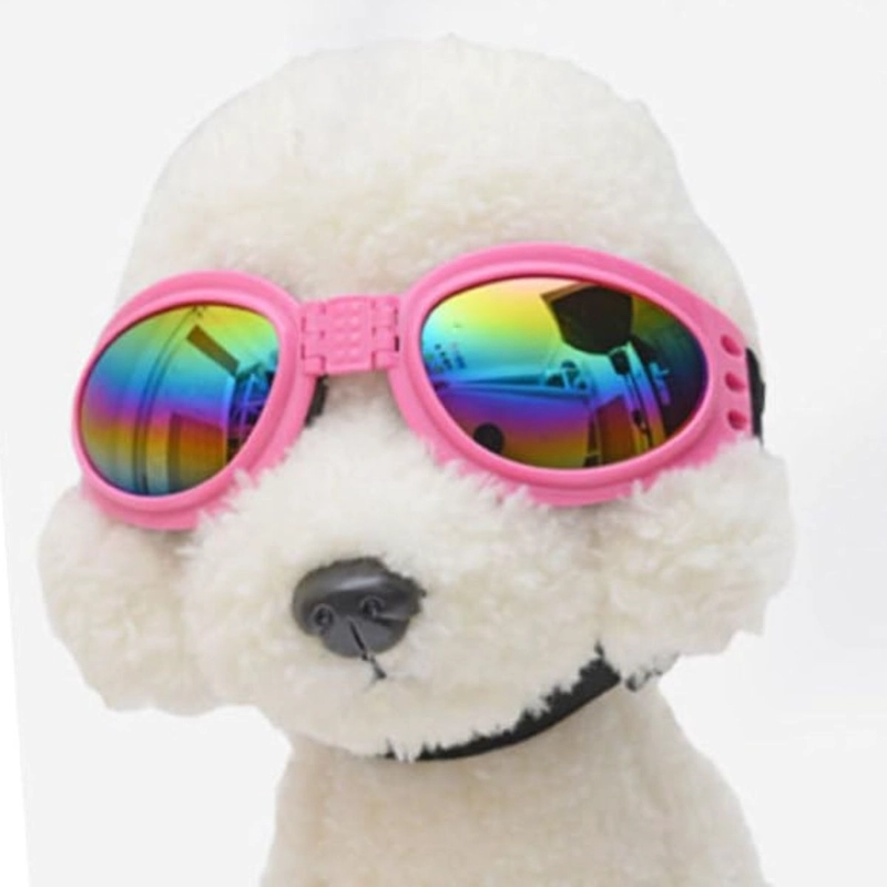SET 2 GAFAS POLARIZADAS PARA MASCOTAS PASEO PROTECCION LAU - 7