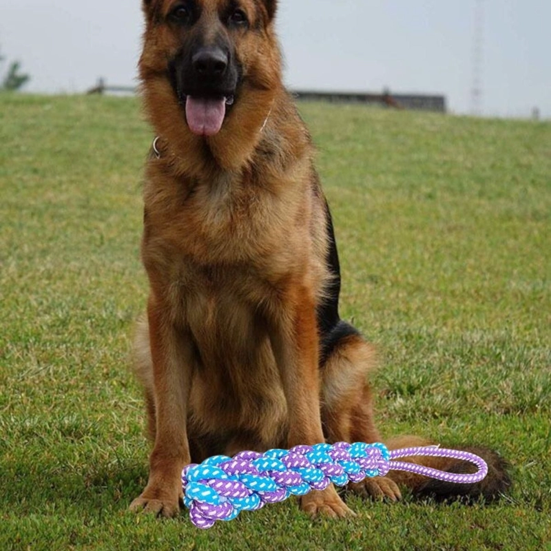SET 4 JUGUETES CUERDA MORDIBLE PARA MASCOTA PERROS LAU - 6