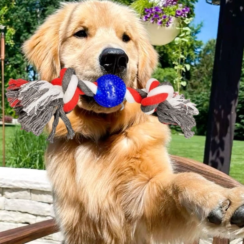 SET 5 JUGUETES PARA MASCOTA PELOTA DE GOMA PERROS LAU - 3