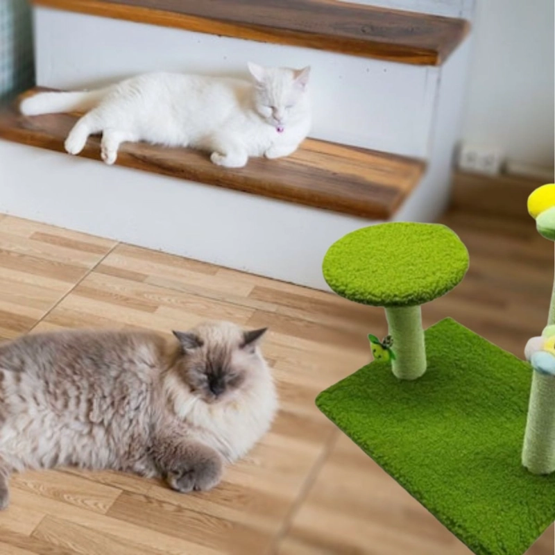 RASCODOR PARA GATOS ENTRENAMIENTO MULTIFUNCIONAL MASCOTA LAU - 8