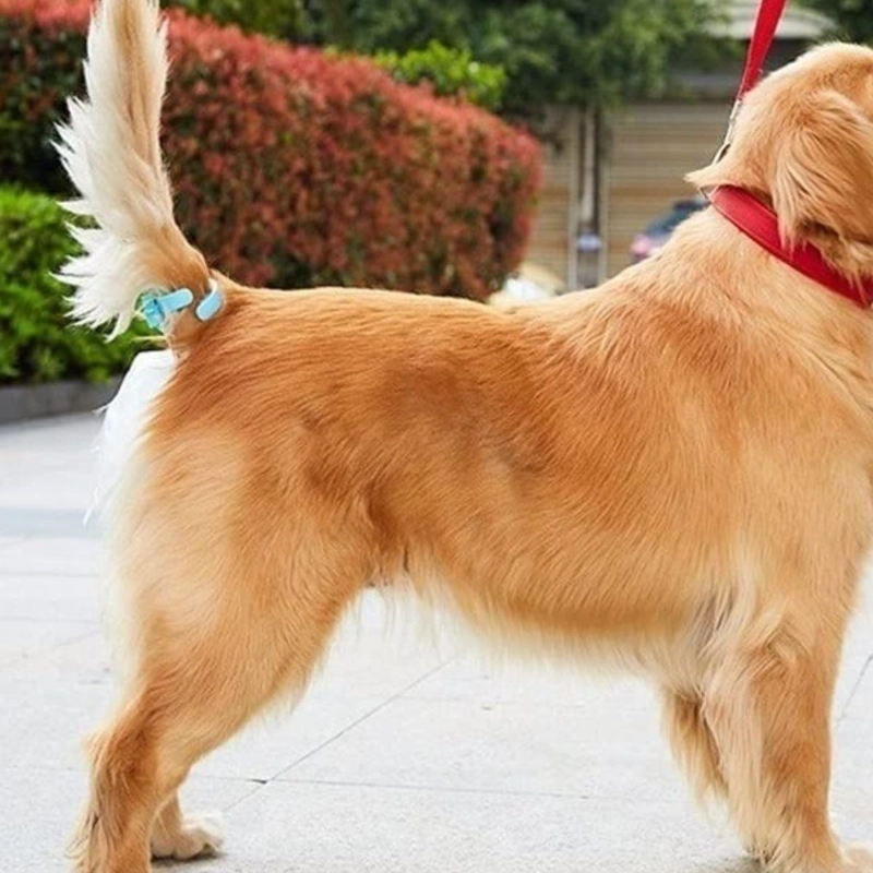 KIT PORTA BOLSAS PARA ASEO DE MASCOTAS PERROS PASEO LAU - 5