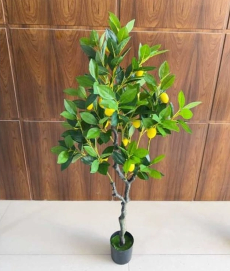 PLANTA ARTIFICIAL DECORATIVA ARBOL LIMON ADORNO JHN - 2