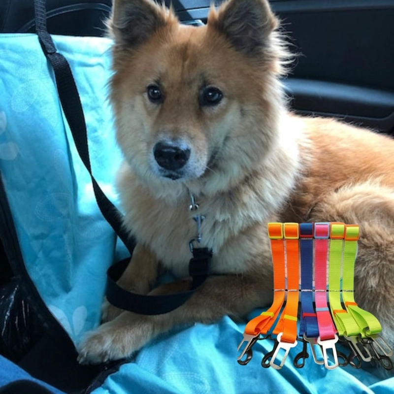 PACK DE CINTURON DE SEGURIDAD PARA MASCOTA LAU - 10