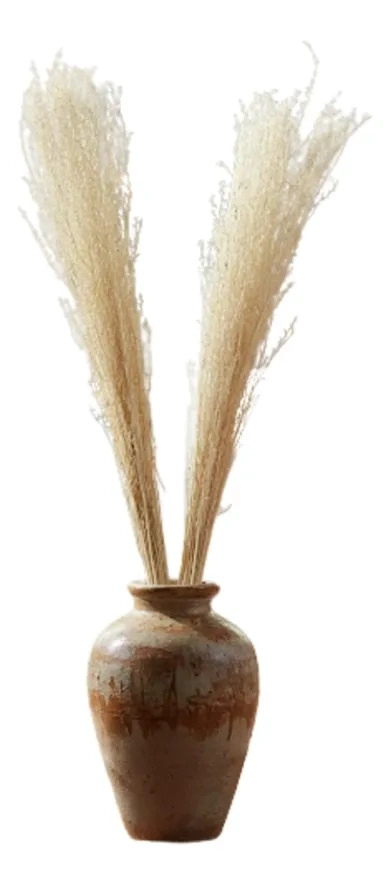 SET 4 FOLLAJES DECORATIVOS FLOREROS ESPACIOS MODERNOS AJ - 2
