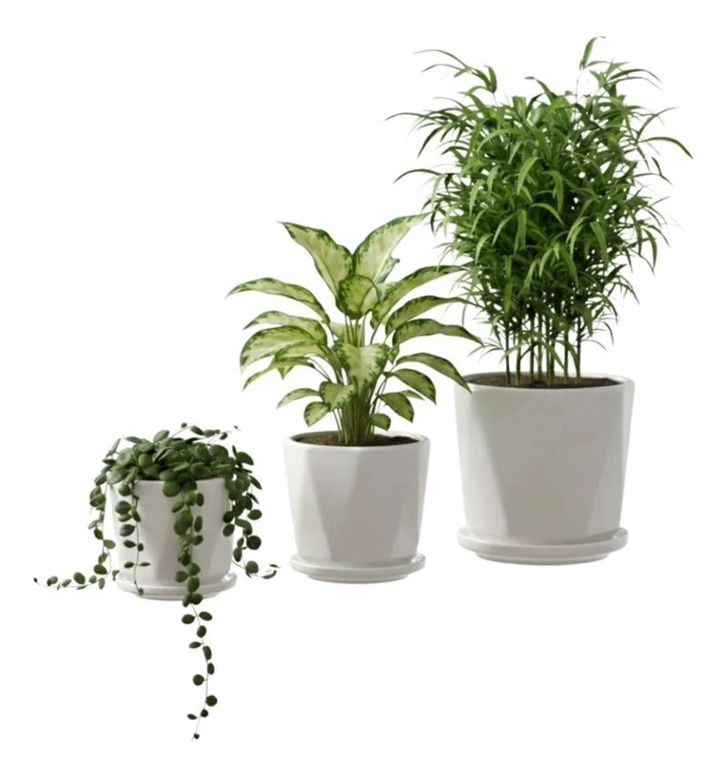 SET 3 MACETAS DECORATIVAS ESTILO GEOME TRICO CENTRO MESA AJ - 2