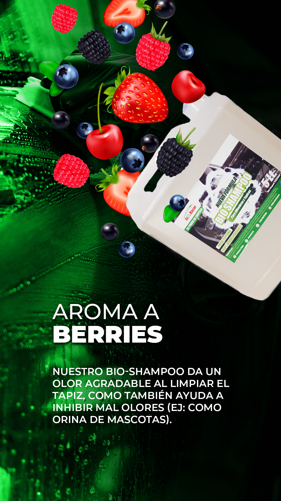 BIDÓN 5LT SHAMPOO DE TAPIZ Y ALFOMBRA + 1 PAÑO DE MICROFIBRA - 2