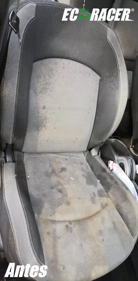 BIDÓN 5LT SHAMPOO DE TAPIZ Y ALFOMBRA + 1 PAÑO DE MICROFIBRA - 3