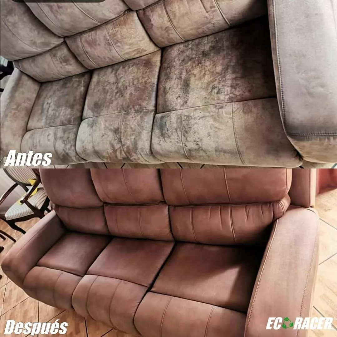 BIDÓN LIMPIA TAPIZ Y ALFOMBRA X3 UNDS - GRATIS - 4