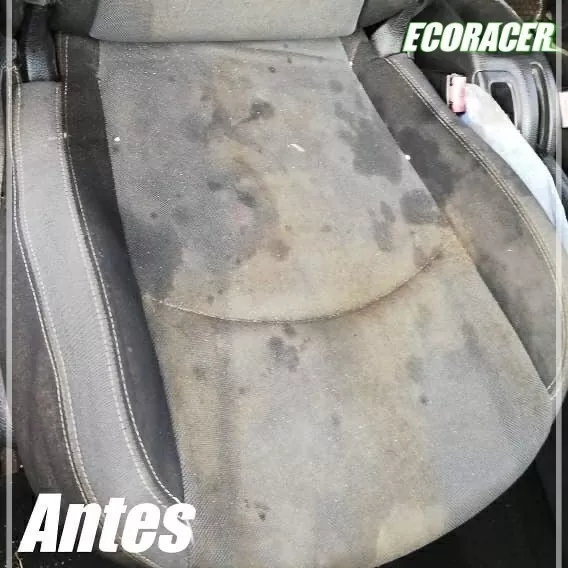 BIDÓN SHAMPOO DE TAPIZ Y ALFOMBRA + 1 PAÑO DE MICROFIBRA - 5