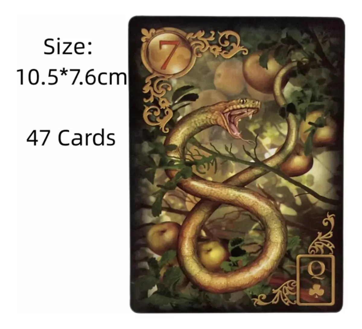ORÁCULO LENORMAND GILDED REVERIE EXPANDED EDITION - 4
