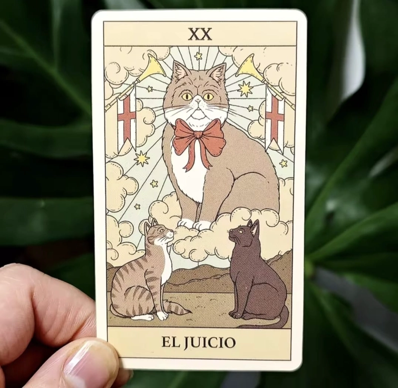 TAROT DE LOS GATOS 78 CARTAS EN ESPANOL - 3