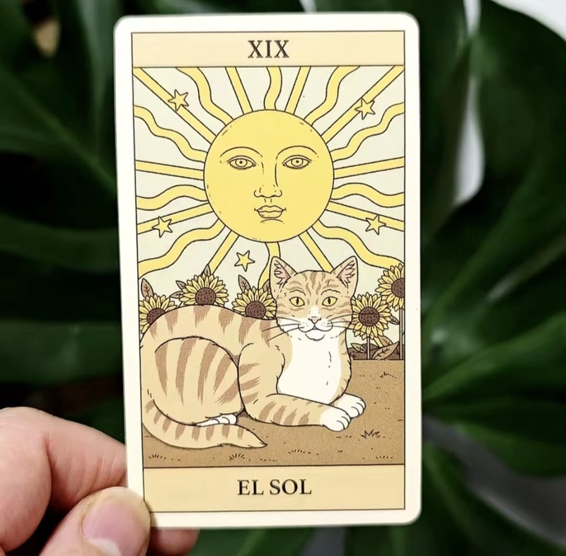 TAROT DE LOS GATOS 78 CARTAS EN ESPANOL - 5