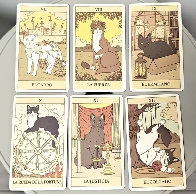 TAROT DE LOS GATOS 78 CARTAS EN ESPANOL - 7