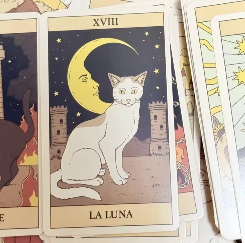 TAROT DE LOS GATOS 78 CARTAS EN ESPANOL - 8